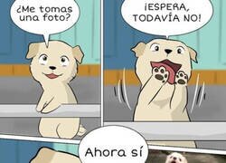Enlace a Lo más adorable que vi nunca