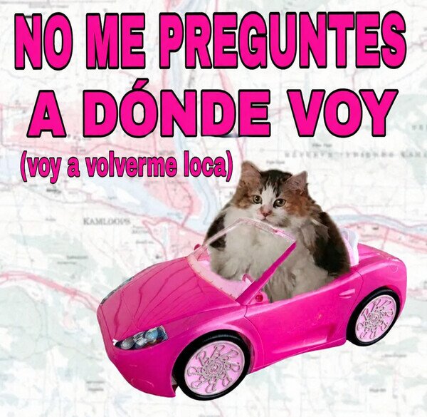 Meme_otros - No me preguntes