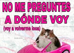 Enlace a No me preguntes