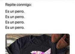 Enlace a No pienses en otras cosas...
