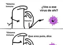 Enlace a Así funcionan las vacunas
