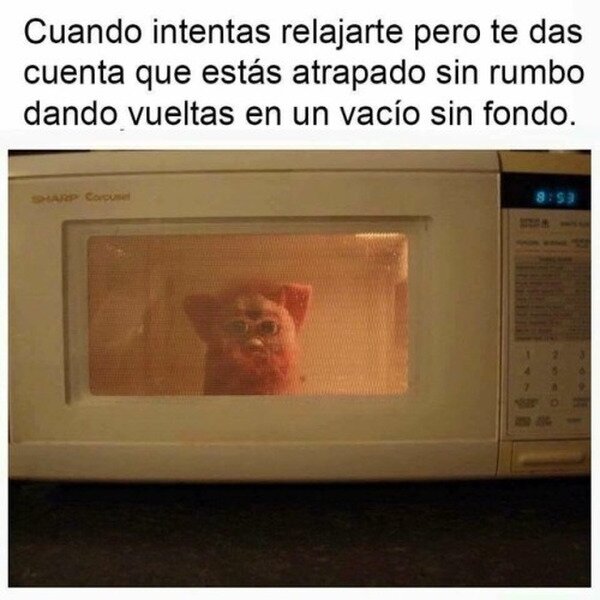 relax,furby,microondas