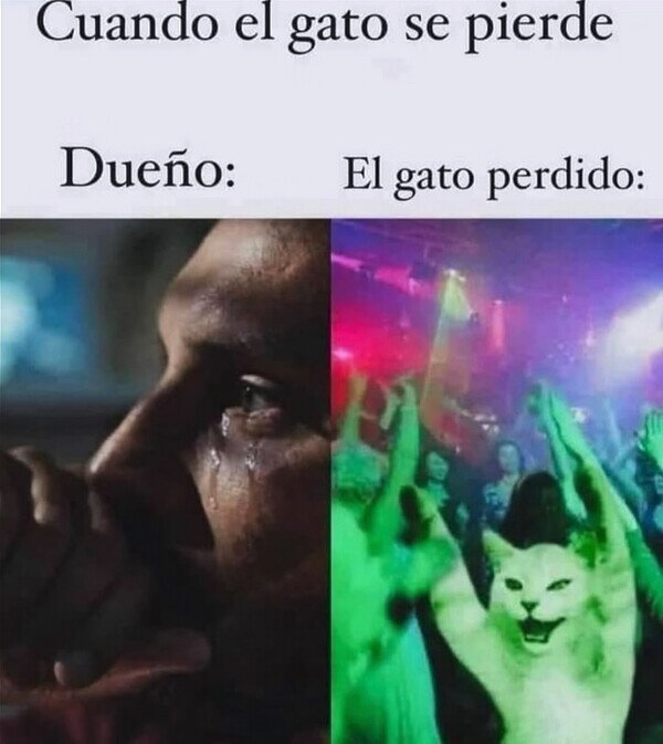 Meme_otros - En casa lo pasan mal