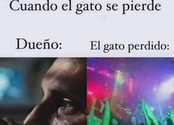 Enlace a En casa lo pasan mal