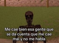 Enlace a Me caen bien y mal