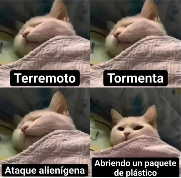 Meme_otros - ¿Qué has traído?