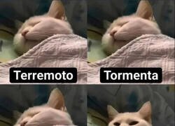 Enlace a ¿Qué has traído?