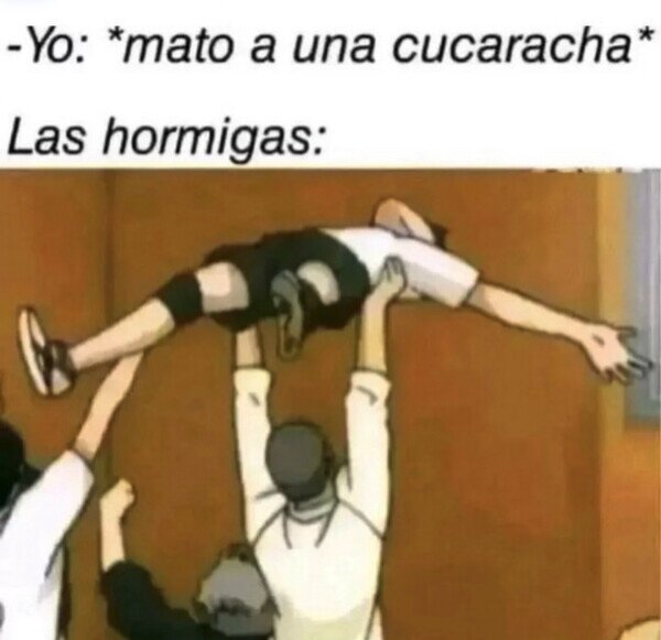 Meme_otros - Se llevan el cuerpo para un ritual