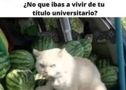 Enlace a Quedó para vender sandías