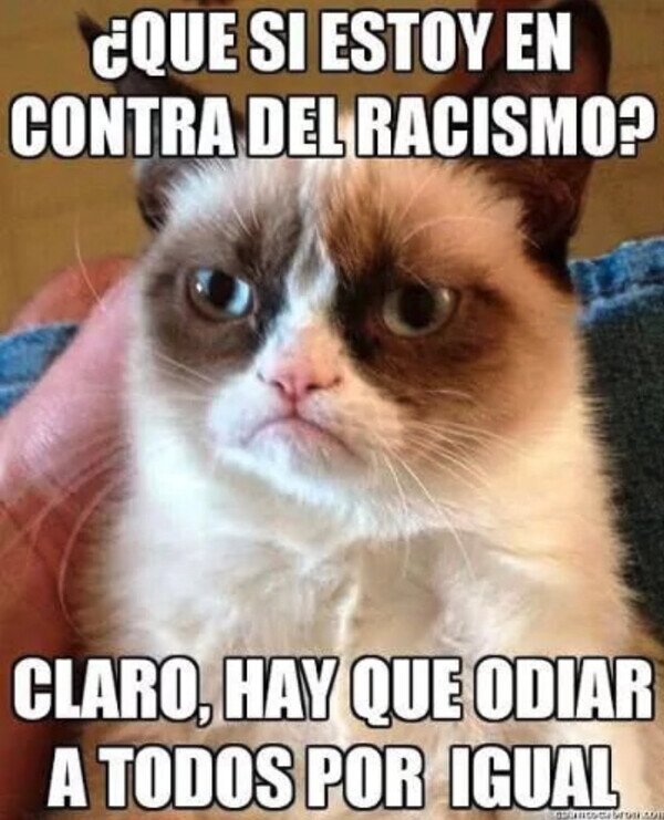 Meme_otros - No a la discriminación