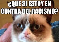 Enlace a No a la discriminación