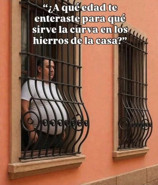 hierros,curva,barriga,barrotes,ventana