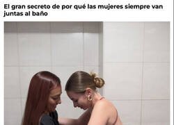 Enlace a La técnica que utilizan