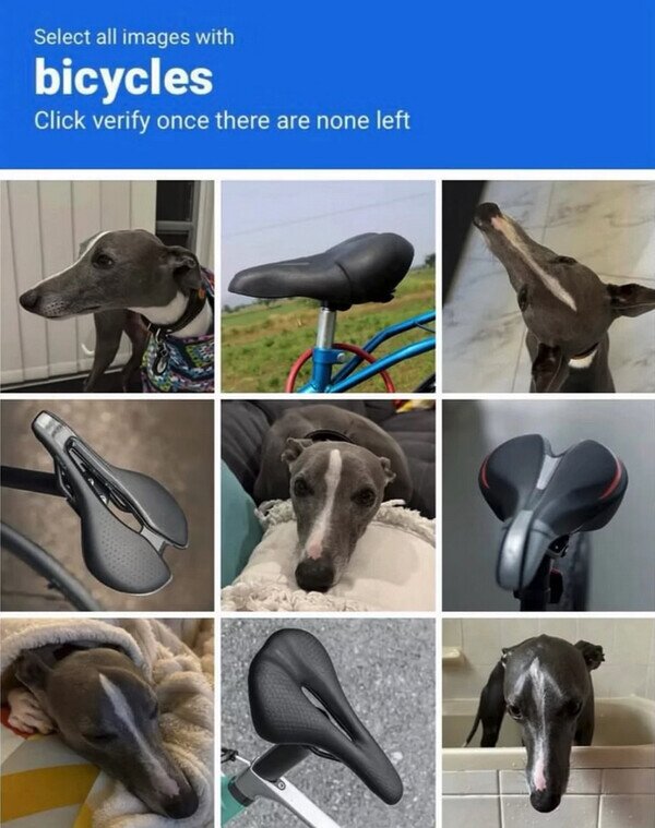 captcha,perro,sill&iacute;n,bicicleta