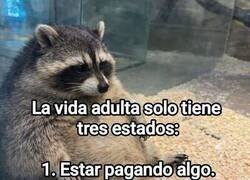 Enlace a Los tres estados de la vida adulta
