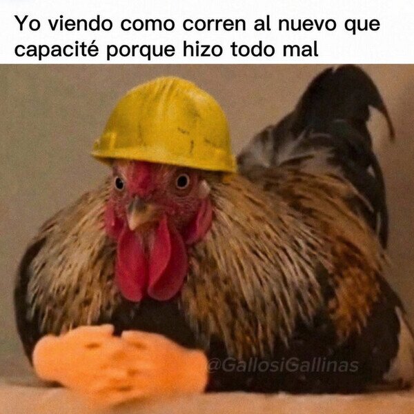 Meme_otros - Oh, vaya...
