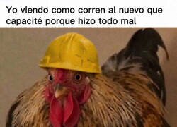 Enlace a Oh, vaya...