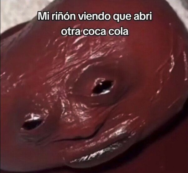 ri&ntilde;&oacute;n,cola,beber