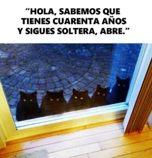 Meme_otros - Llegó tu momento