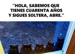 Enlace a Llegó tu momento