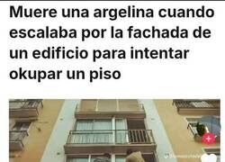 Enlace a La única ley que sigue funcionando