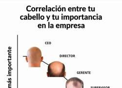 Enlace a Suele pasar