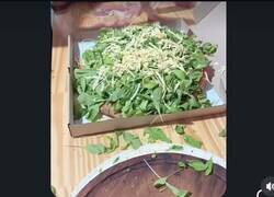 Enlace a Hay un poco de césped en esa pizza