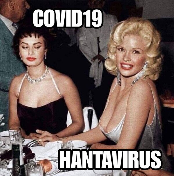 coronavirus,hantavirus