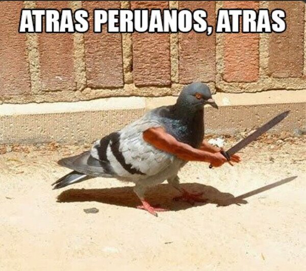 Meme_otros - No quiero problemas