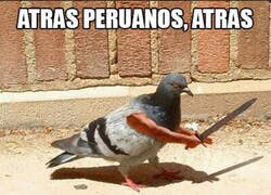 Enlace a No quiero problemas