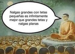 Enlace a La voz de un sabio