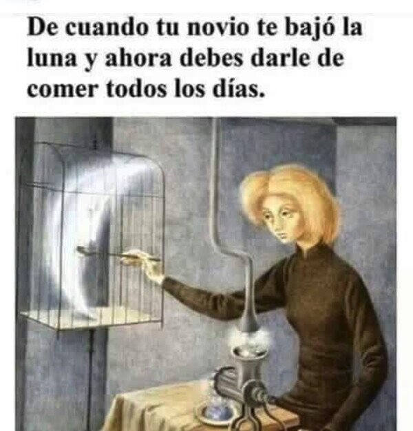Otros - ¿Qué necesidad había?
