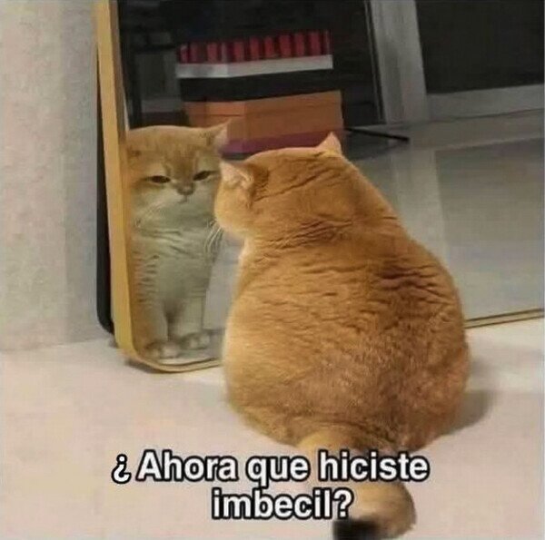 Meme_otros - Yo cada vez que la cago