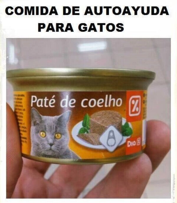 Meme_otros - Le ayudará a ser mejor gato