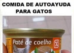 Enlace a Le ayudará a ser mejor gato