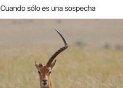 Enlace a Principio de cuernos