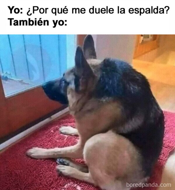 Otros - Me siento mal por sentarme mal