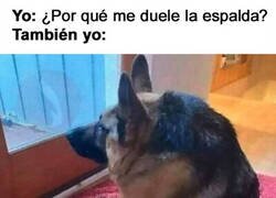 Enlace a Me siento mal por sentarme mal
