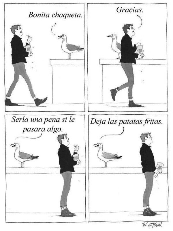 gaviota,amenaza,chaqueta