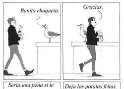 Enlace a Gaviotas amenazantes