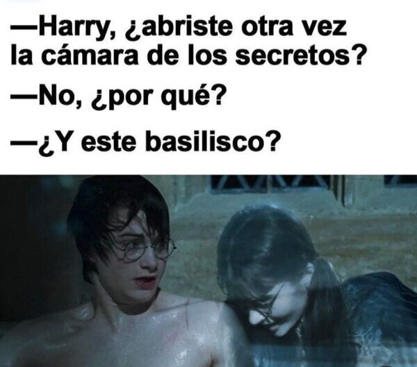Meme_otros - Harry, haz tu magia