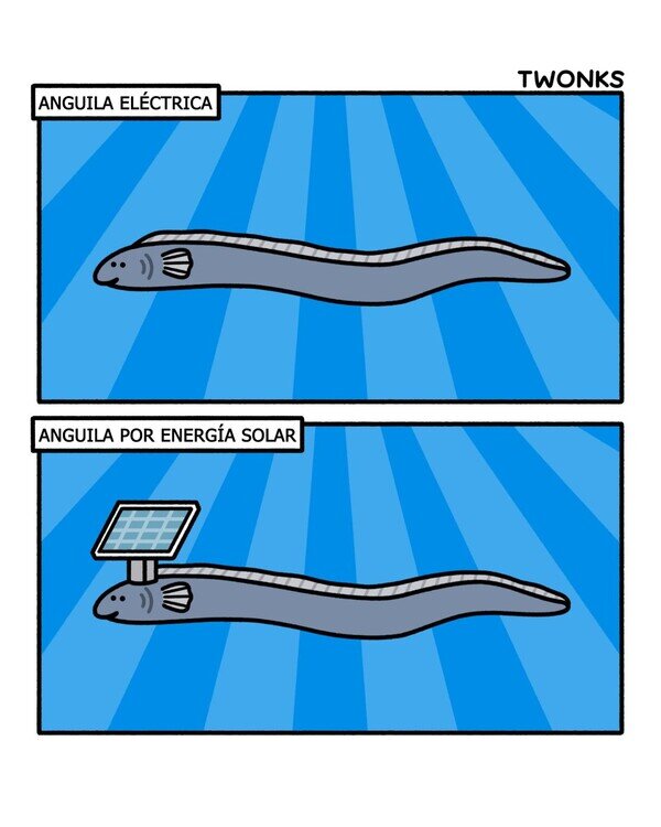 Meme_otros - Conoce los tipos de anguila