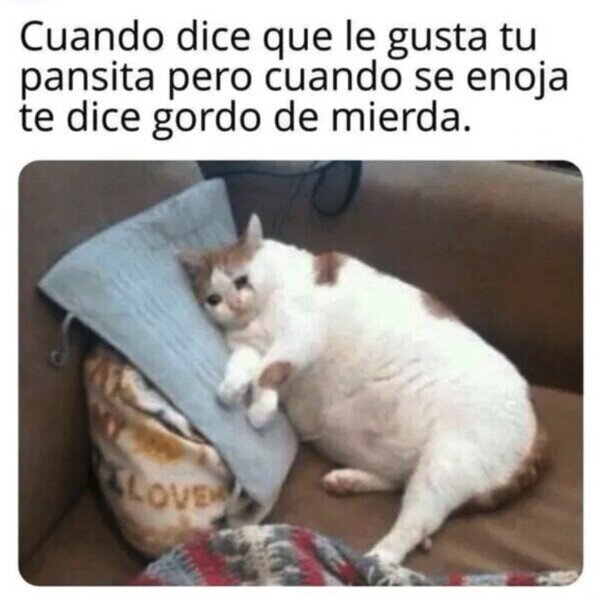 Otros - Pancita triste