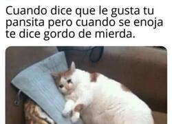 Enlace a Pancita triste