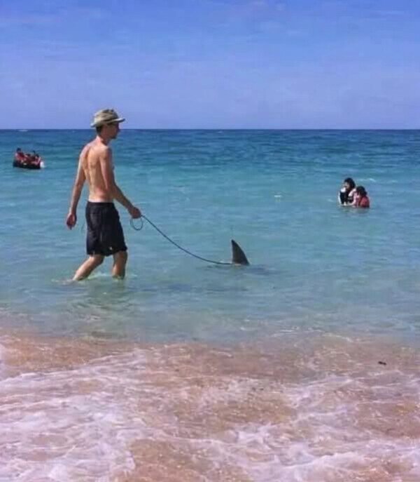 Otros - Aquí, dando un paseo por la playa con mi mascota