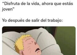 Enlace a Aprovechando mi juventud