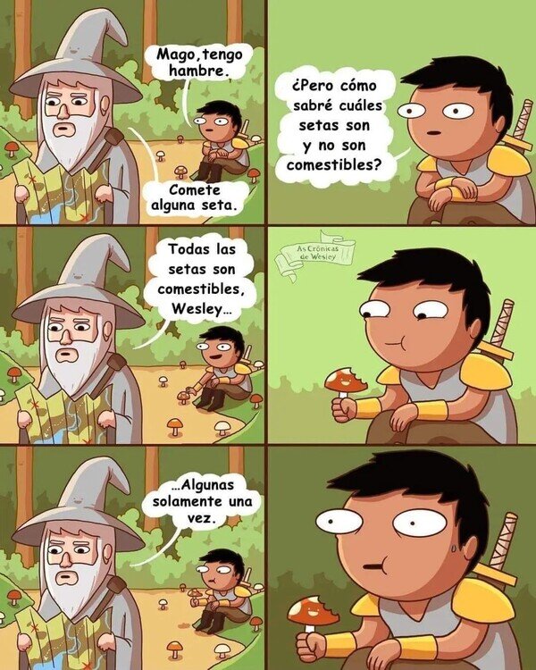 Meme_otros - Todas las setas son comestibles