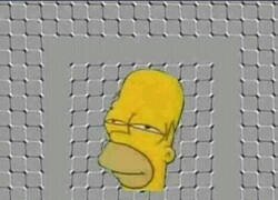 Enlace a Os juro que esto no es un gif