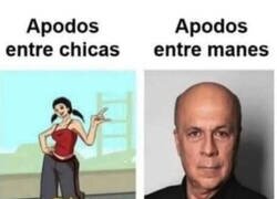 Enlace a Ellos ponen mejores apodos