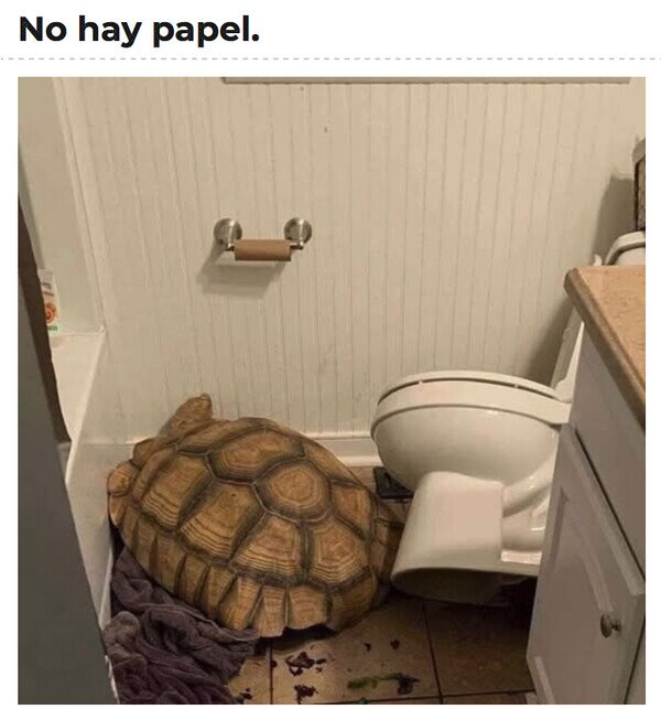 Otros - Algo está pasando en este baño